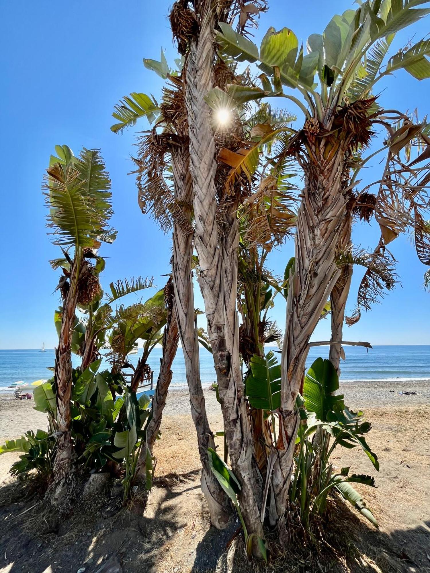 Apartamento De Playa Reformado Rincon de la Victoria Bagian luar foto